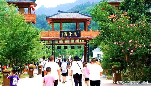 迎六一欢乐多！熊猫生日派对盛大开启，这些人费用全免，栾川童趣乐翻天