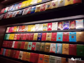 安吉人 把时光与兴趣藏进“口袋趣时光”